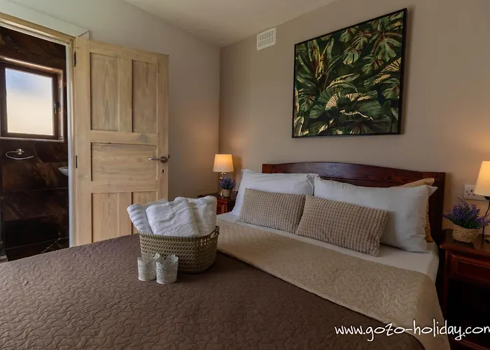 Hibiscus 度假居 沙拉